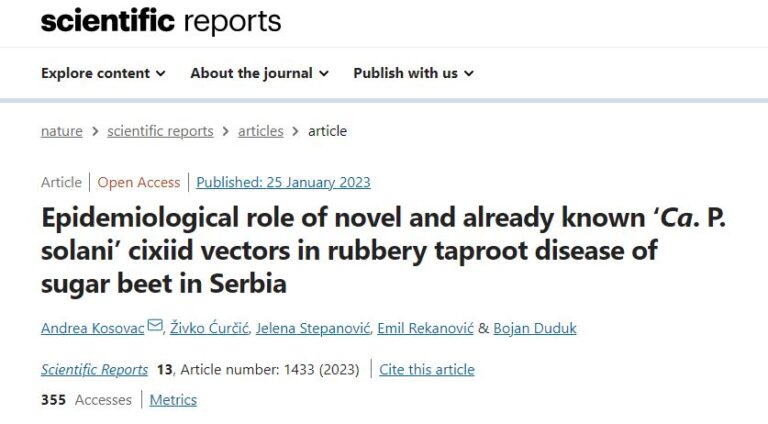 <a href="https://www.nature.com/articles/s41598-023-28562-8" target="_blank" rel="noreferrer noopener">Epidemiological role of novel and already known ‘Ca. P. solani’ cixiid vectors in rubbery taproot disease of sugar beet in Serbia</a>