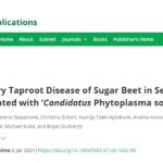 <a href="https://apsjournals.apsnet.org/doi/10.1094/PDIS-07-20-1602-RE" target="_blank" rel="noreferrer noopener">Rubbery Taproot Disease of Sugar Beet in Serbia Associated with ‘Candidatus Phytoplasma solani’</a>
