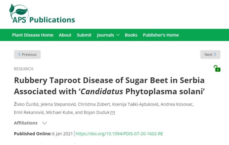<a href="https://apsjournals.apsnet.org/doi/10.1094/PDIS-07-20-1602-RE" target="_blank" rel="noreferrer noopener">Rubbery Taproot Disease of Sugar Beet in Serbia Associated with ‘Candidatus Phytoplasma solani’</a>
