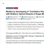 <a href="https://www.mdpi.com/2076-2607/9/9/1950" target="_blank" rel="noreferrer noopener">Multilocus Genotyping of ‘Candidatus Phytoplasma solani’ Associated with Rubbery Taproot Disease of Sugar Beet in the Pannonian Plain</a>