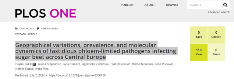 <a href="https://journals.plos.org/plosone/article?id=10.1371/journal.pone.0306136" target="_blank" rel="noreferrer noopener">Geographical variations, prevalence, and molecular dynamics of fastidious phloem-limited pathogens infecting sugar beet across Central Europe</a>
